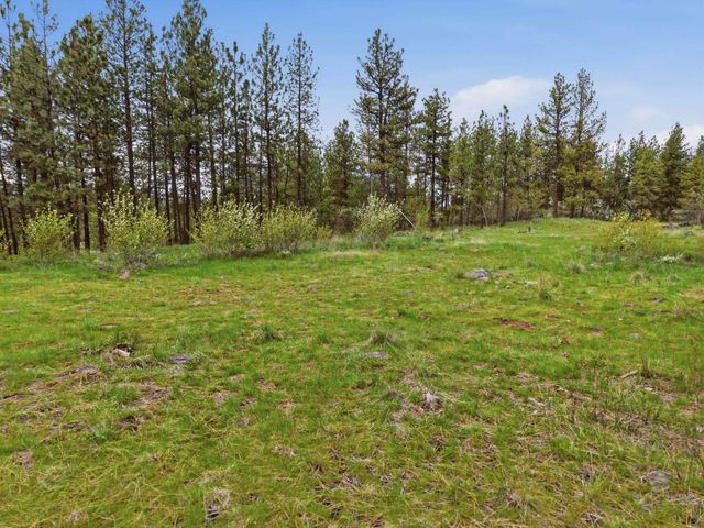 3919 S San Diego Rd, Spokane, WA 99224