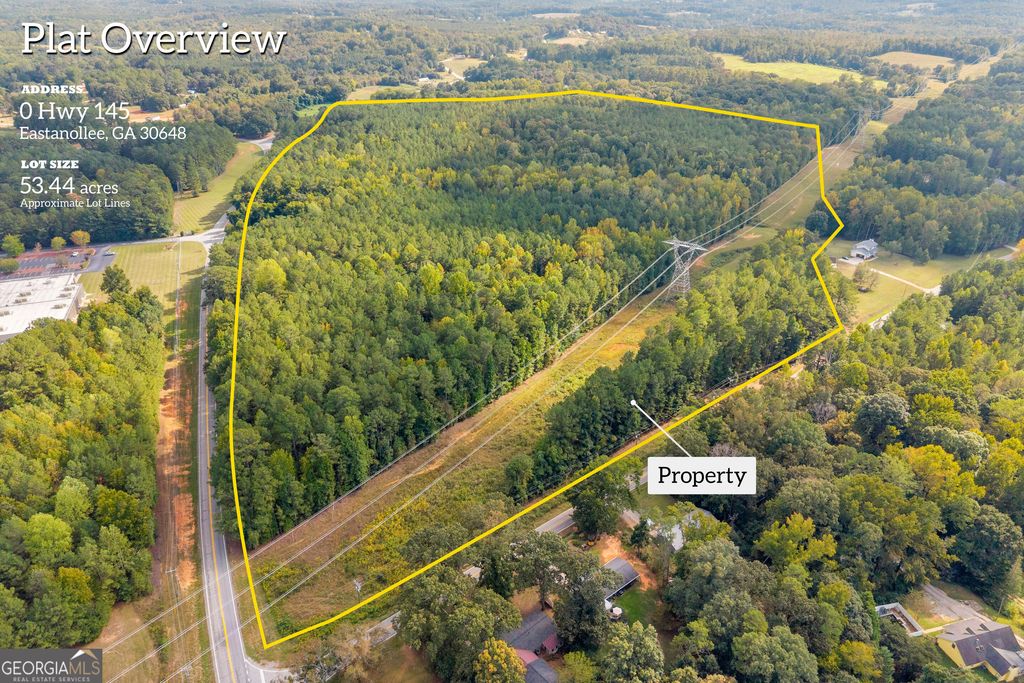 0 Highway 145, Eastanollee, GA 30538 — photo 3
