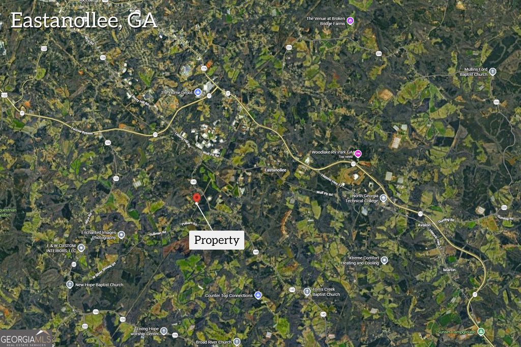 0 Highway 145, Eastanollee, GA 30538 — photo 4