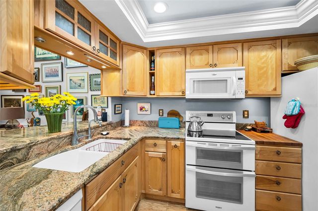 1720 CYPRESS TRACE DRIVE, Safety Harbor, FL 34695