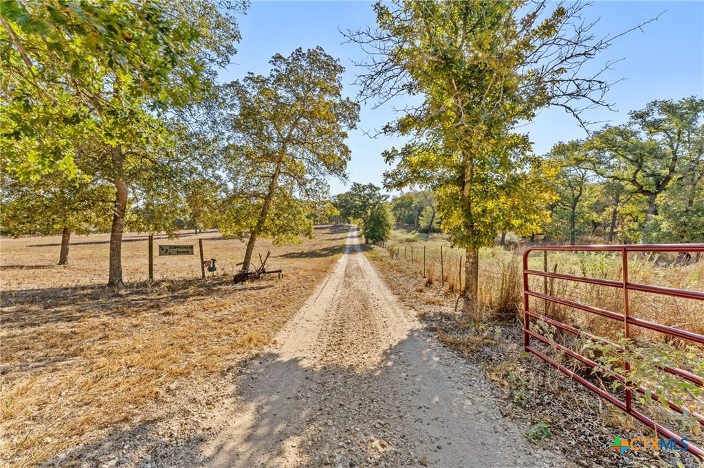 1545 Nockenut Road, Seguin, TX 78155