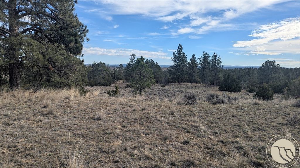 560 N US Highway 87 N, Roundup, MT 59072 photo 3