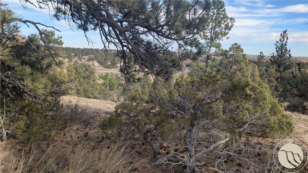 560 N US Highway 87 N, Roundup, MT 59072 photo 4