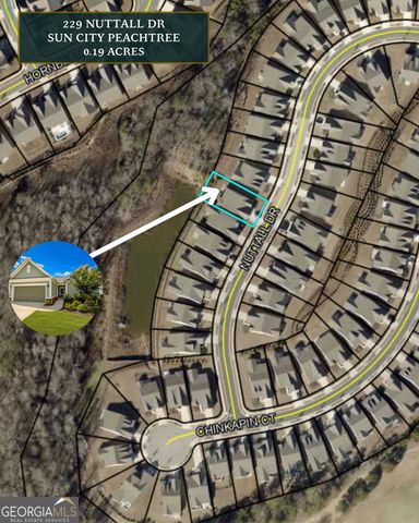 229 Nuttall Drive, Griffin, GA 30223