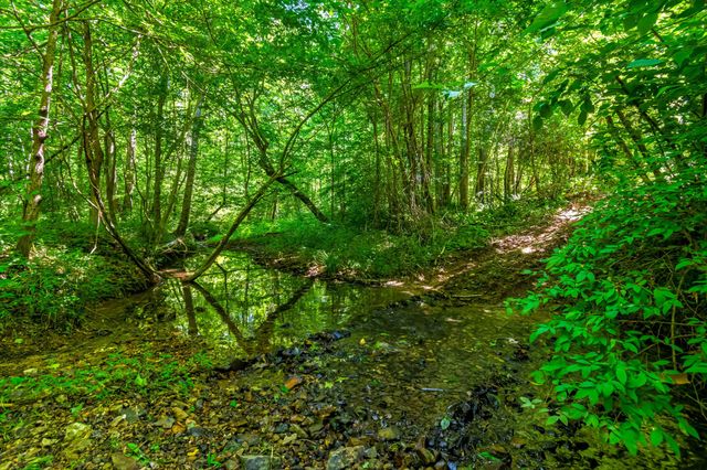 144 Abberly Ln, Hohenwald, TN 38462