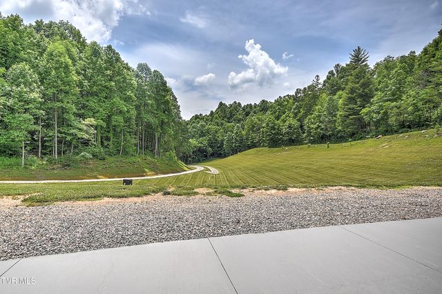 4125 Pine Orchard Road, Butler, TN 37640