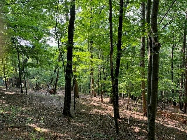 6057 Crested Iris Circle, Big Canoe, GA 30143