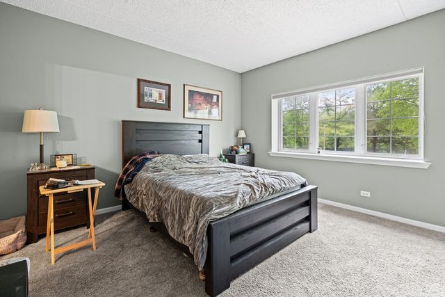 59 S Hale Street 103, Palatine, IL 60067