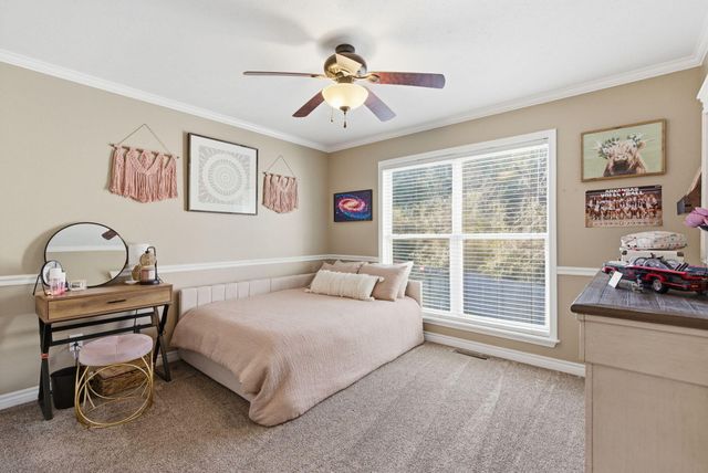 154 Sapling Drive, Branson, MO 65616