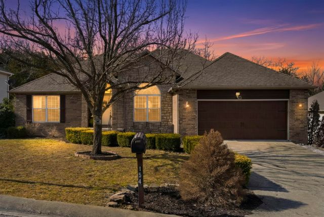154 Sapling Drive, Branson, MO 65616