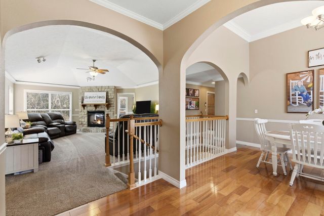 154 Sapling Drive, Branson, MO 65616