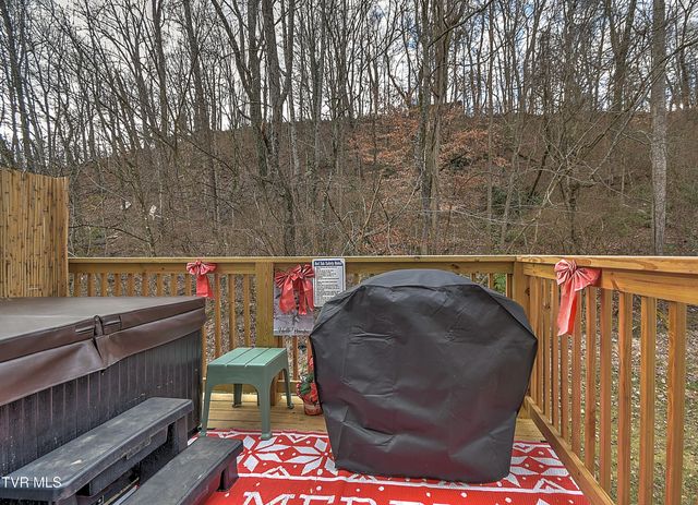 1103 Glen Street, Bristol, TN 37620