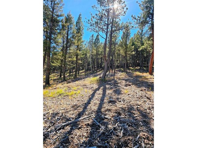 1504 County Road 43, Bailey, CO 80421