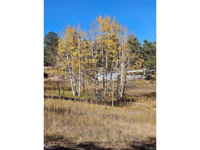 1504 County Road 43, Bailey, CO 80421