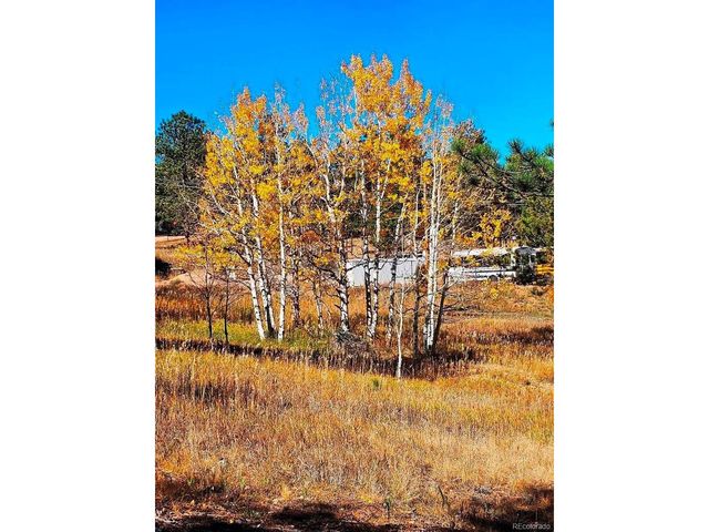 1504 County Road 43, Bailey, CO 80421