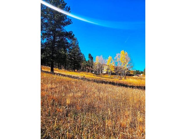 1504 County Road 43, Bailey, CO 80421