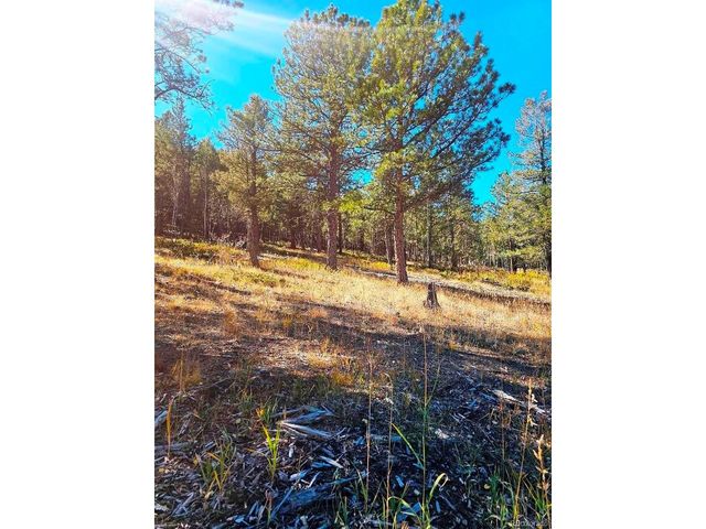 1504 County Road 43, Bailey, CO 80421