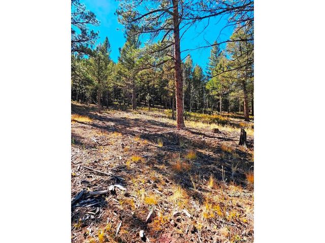 1504 County Road 43, Bailey, CO 80421