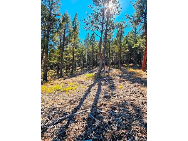 1504 County Road 43, Bailey, CO 80421
