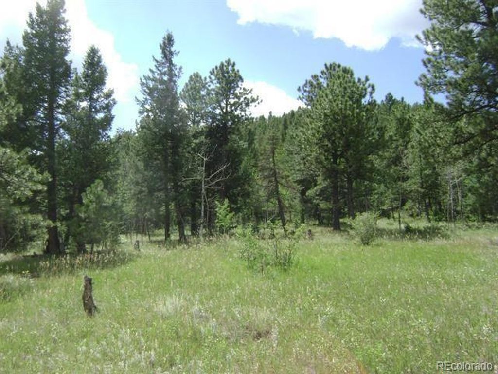 1504 County Road 43, Bailey, CO 80421