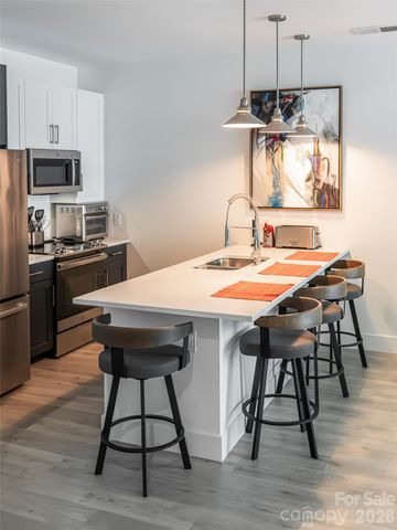 68 Craven Street 203, Asheville, NC 28806