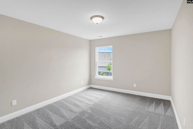 636 Thunder Gulch Avenue, Lexington, SC 29073