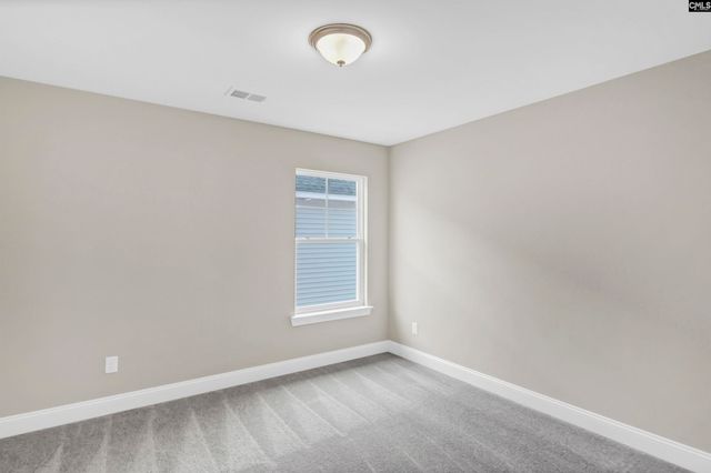 636 Thunder Gulch Avenue, Lexington, SC 29073