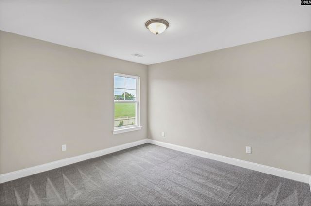 636 Thunder Gulch Avenue, Lexington, SC 29073