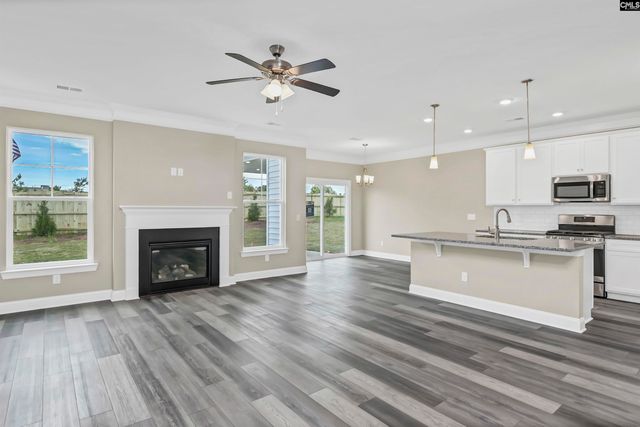 636 Thunder Gulch Avenue, Lexington, SC 29073
