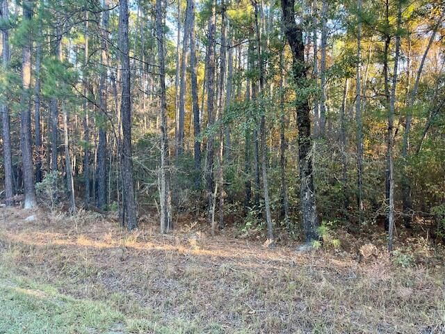 00 Second Texas Road, Saint George, SC 29477