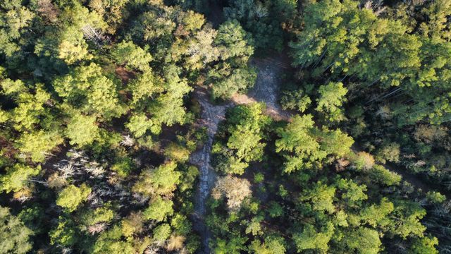 00 Second Texas Road, Saint George, SC 29477