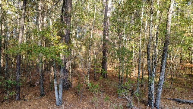 00 Second Texas Road, Saint George, SC 29477