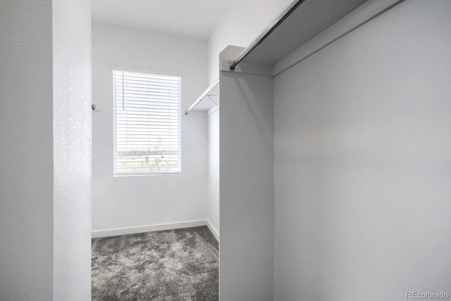 3005 Gladstone Avenue, Loveland, CO 80538