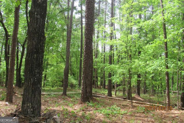 1302 Oconee Drive SW, Sparta, GA 31087