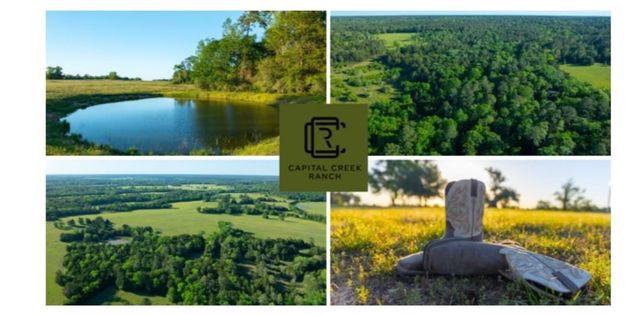 0 Olde Homestead Lane, Willis, TX 77378
