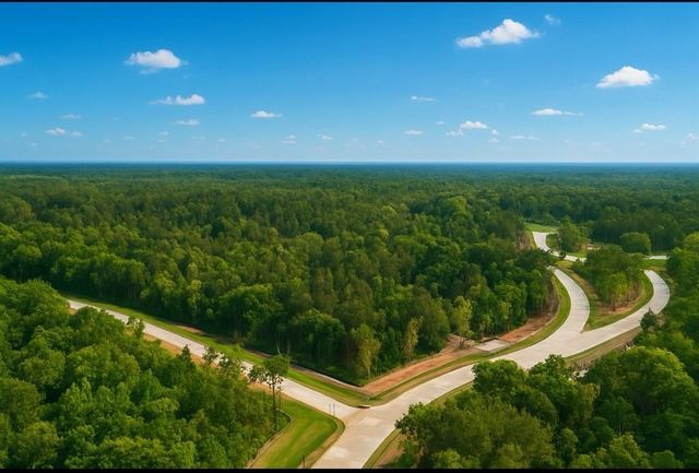 0 Olde Homestead Lane, Willis, TX 77378