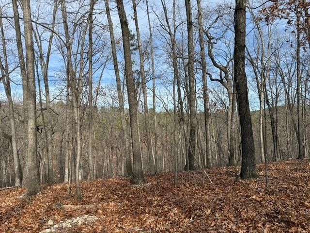 TBD Saint Simmons Lane, Eureka Springs, AR 72632