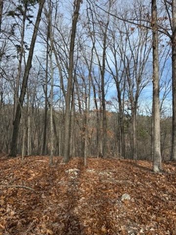 TBD Saint Simmons Lane, Eureka Springs, AR 72632