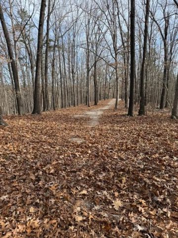 TBD Saint Simmons Lane, Eureka Springs, AR 72632