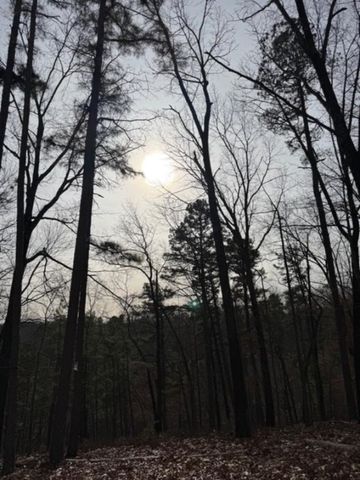 TBD Saint Simmons Lane, Eureka Springs, AR 72632