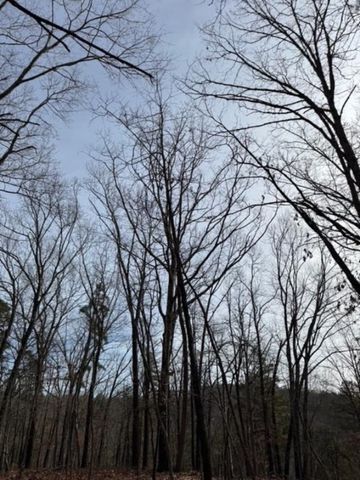 TBD Saint Simmons Lane, Eureka Springs, AR 72632