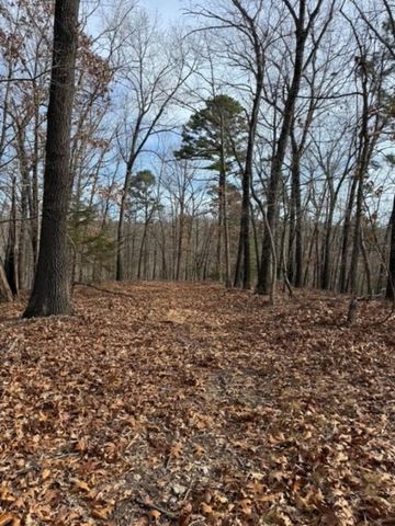 TBD Saint Simmons Lane, Eureka Springs, AR 72632