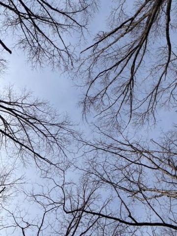 TBD Saint Simmons Lane, Eureka Springs, AR 72632