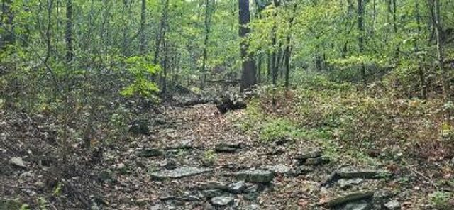 TBD Saint Simmons Lane, Eureka Springs, AR 72632