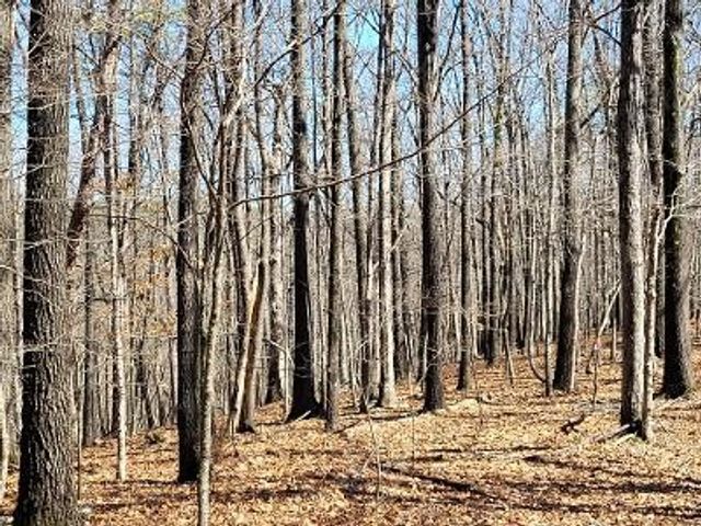 TBD Saint Simmons Lane, Eureka Springs, AR 72632