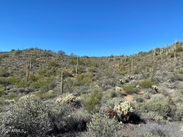 45XXX N Cottonwood Canyon Road -, Cave Creek, AZ 85331