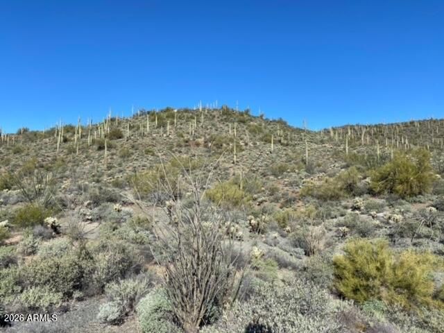 45XXX N Cottonwood Canyon Road -, Cave Creek, AZ 85331