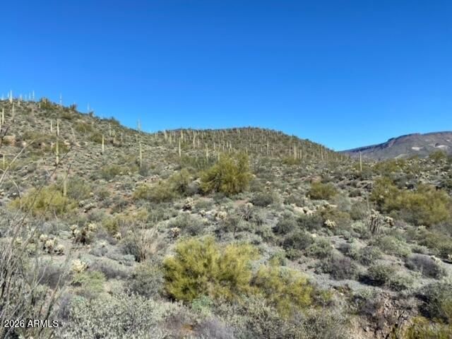 45XXX N Cottonwood Canyon Road -, Cave Creek, AZ 85331