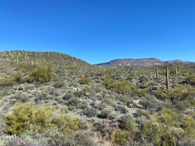 45XXX N Cottonwood Canyon Road -, Cave Creek, AZ 85331