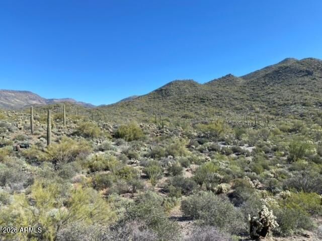 45XXX N Cottonwood Canyon Road -, Cave Creek, AZ 85331